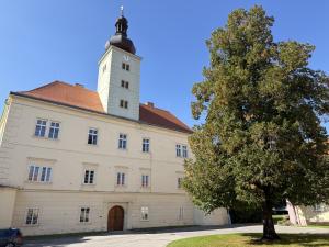 Bioveta prestavia schátraný zámok na multikultúrne centrum